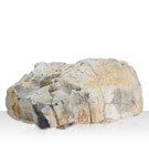 アクアリウムロック 大サイズ　木化石