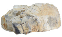 木化石（ぼっかせき）