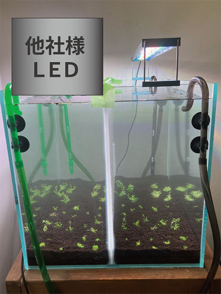 他社様LED